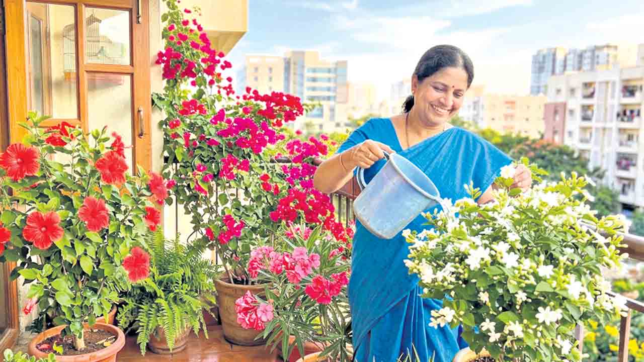 ఏడాది పొడవునా పూలు పూసే మొకలు ఏవి?