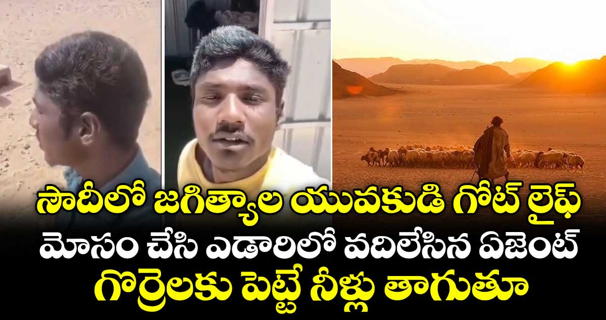 జగిత్యాల యువకుడు సౌదీ ఎడారిలో చిక్కుకున్నాడు, వీడియో వైరల్
