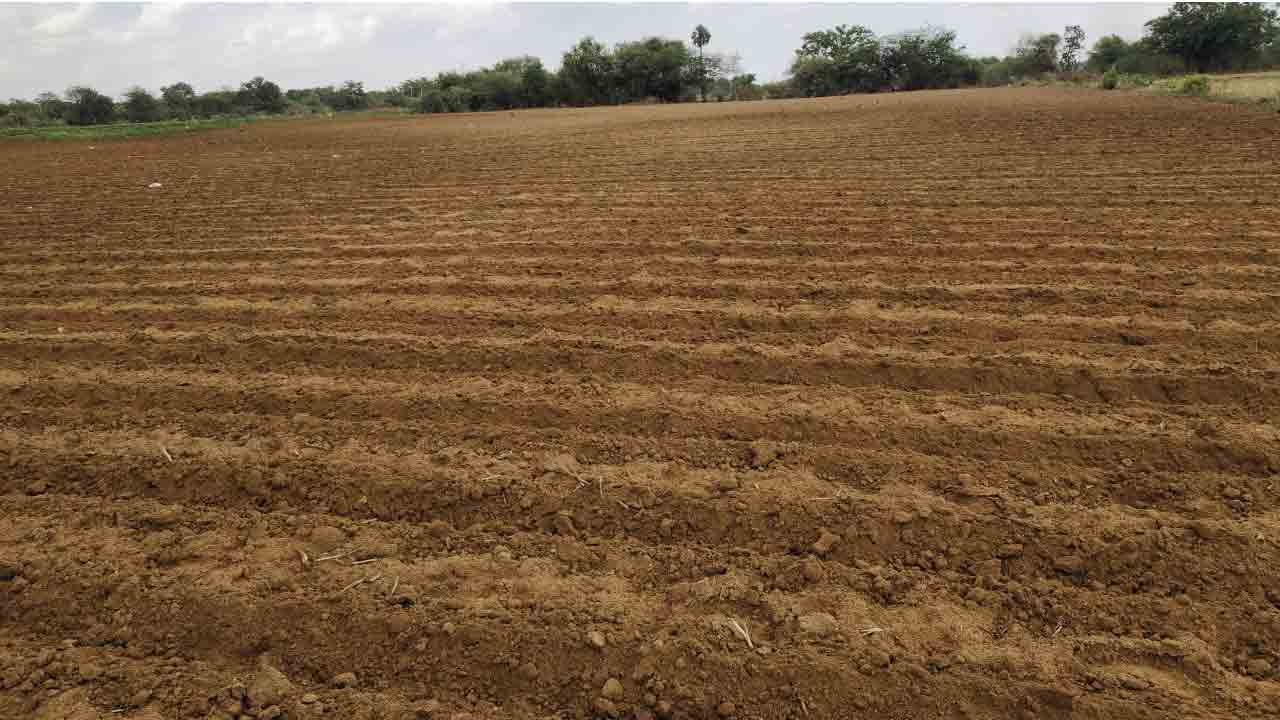 వనపర్తిలో మెట్ట సాగు 5 శాతం మాత్రమే: వర్షాభావంతో రైతుల ఆందోళన