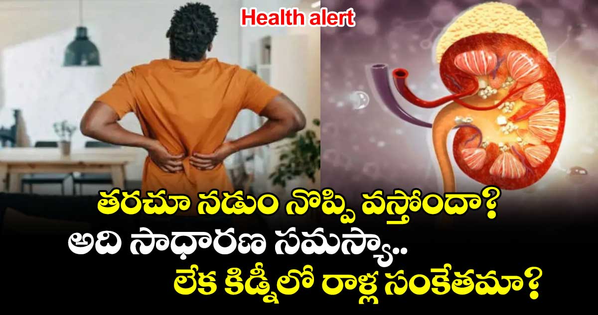 నడుం నొప్పి? కిడ్నీ రాళ్ల సంకేతమా?
