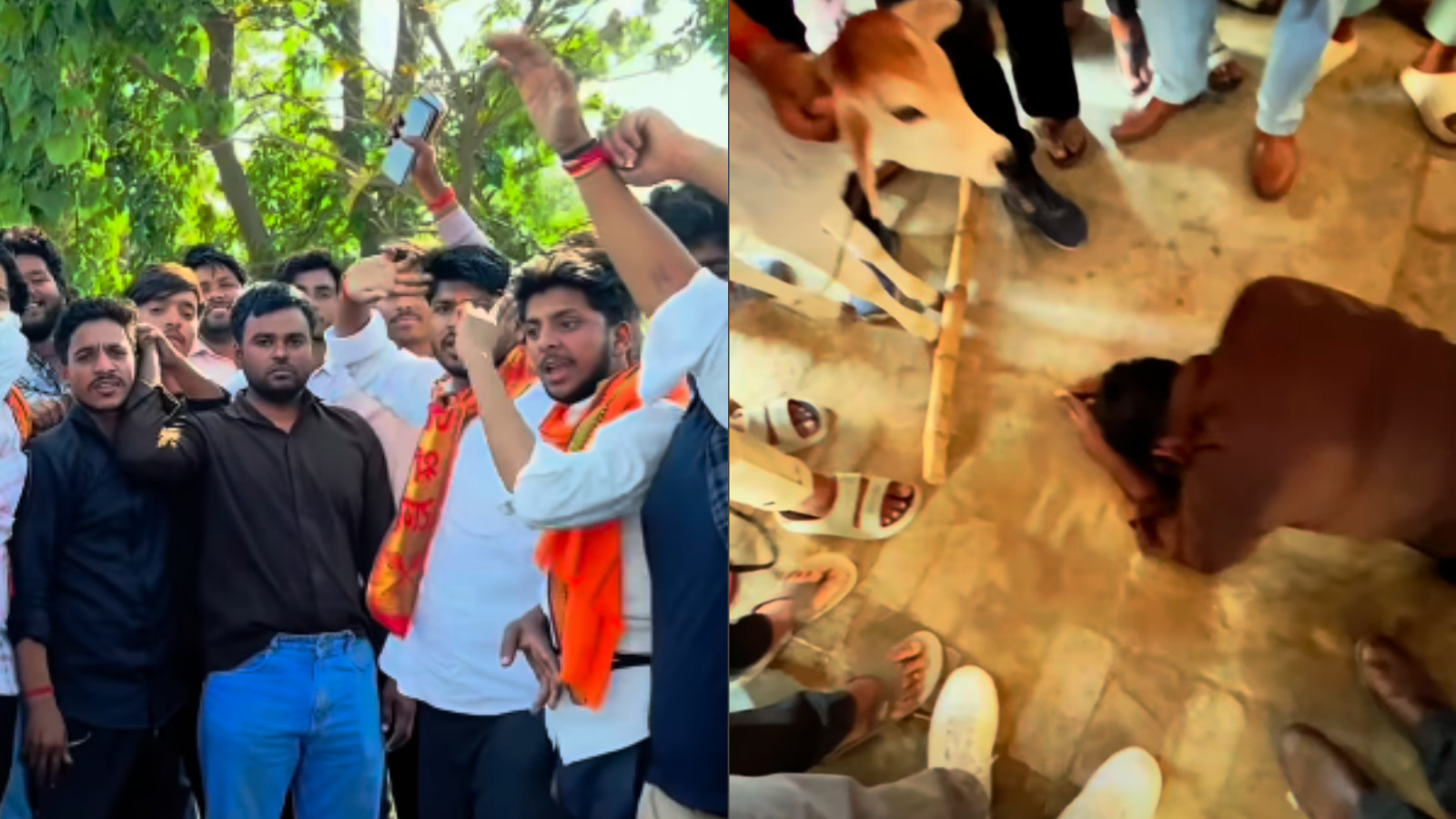 బారబంకీలో ముస్లిం వ్యక్తిని గొడ్డు ముందు నేలపడేలా నిర్బంధించారు
