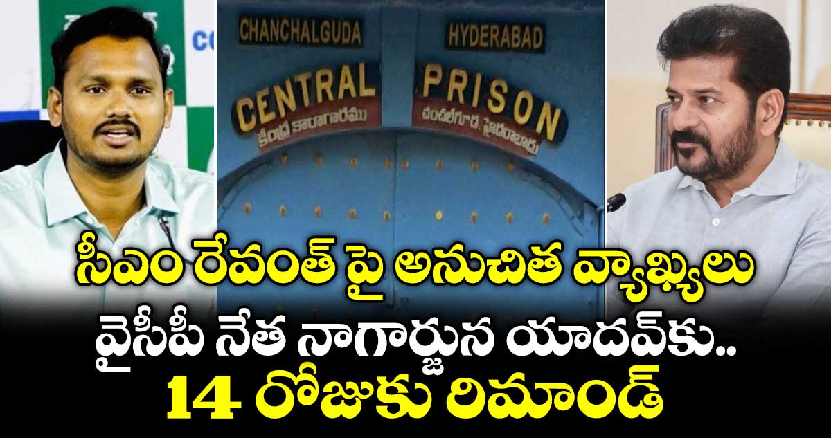 వైసీపీ నాయకుడు నాగార్జున యాదవ్‌కు 14 రోజుల రిమాండ్