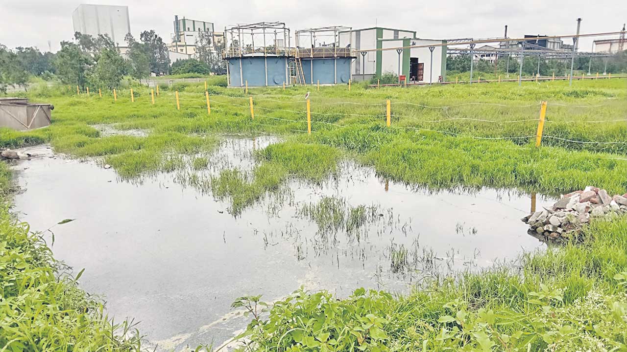 బ్లూక్రాఫ్ట్ పరిశ్రమ కాలుష్యంతో సదాశివపేట ప్రజలు బాధ