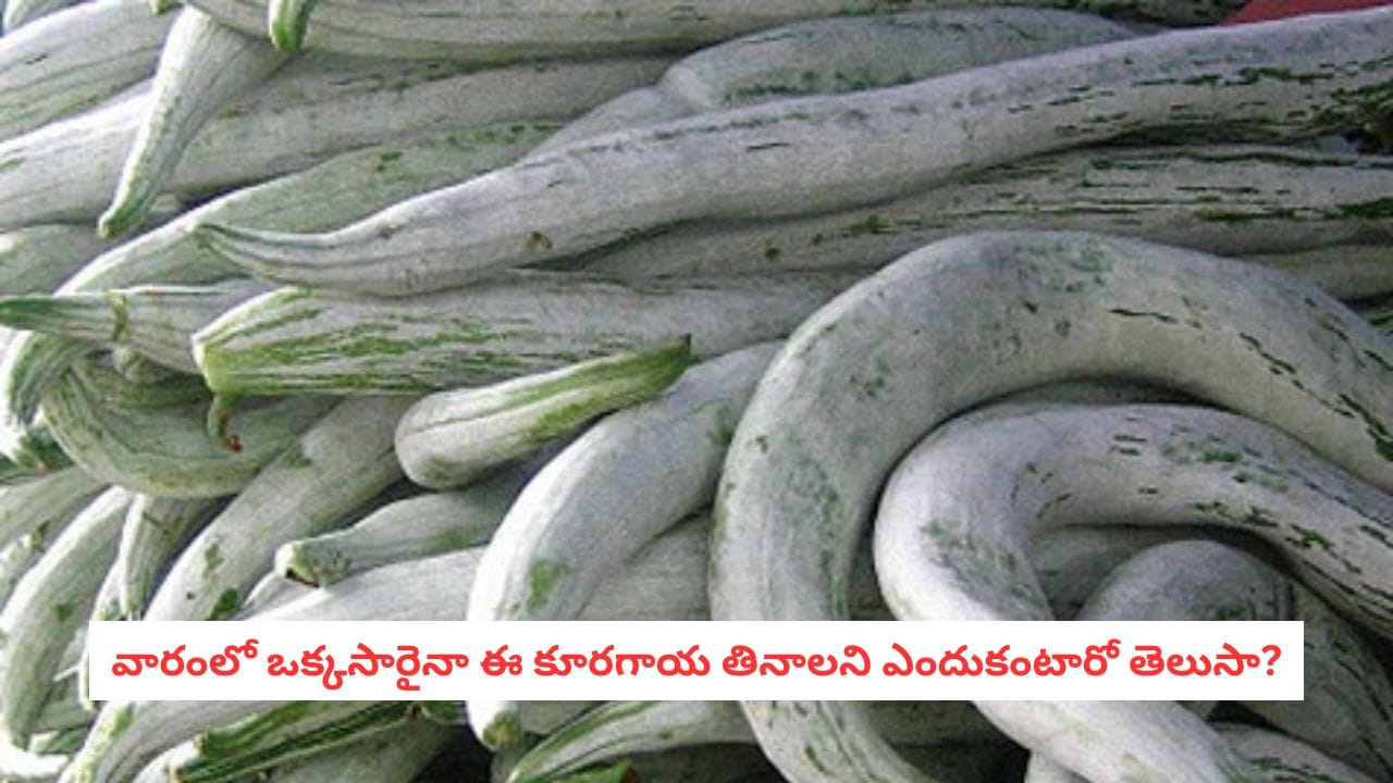 ఆరోగ్యానికి పొట్లకాయ: బరువు నియంత్రణకు, జీర్ణక్రియకు ఇలా ఉపయోగపడుతుంది