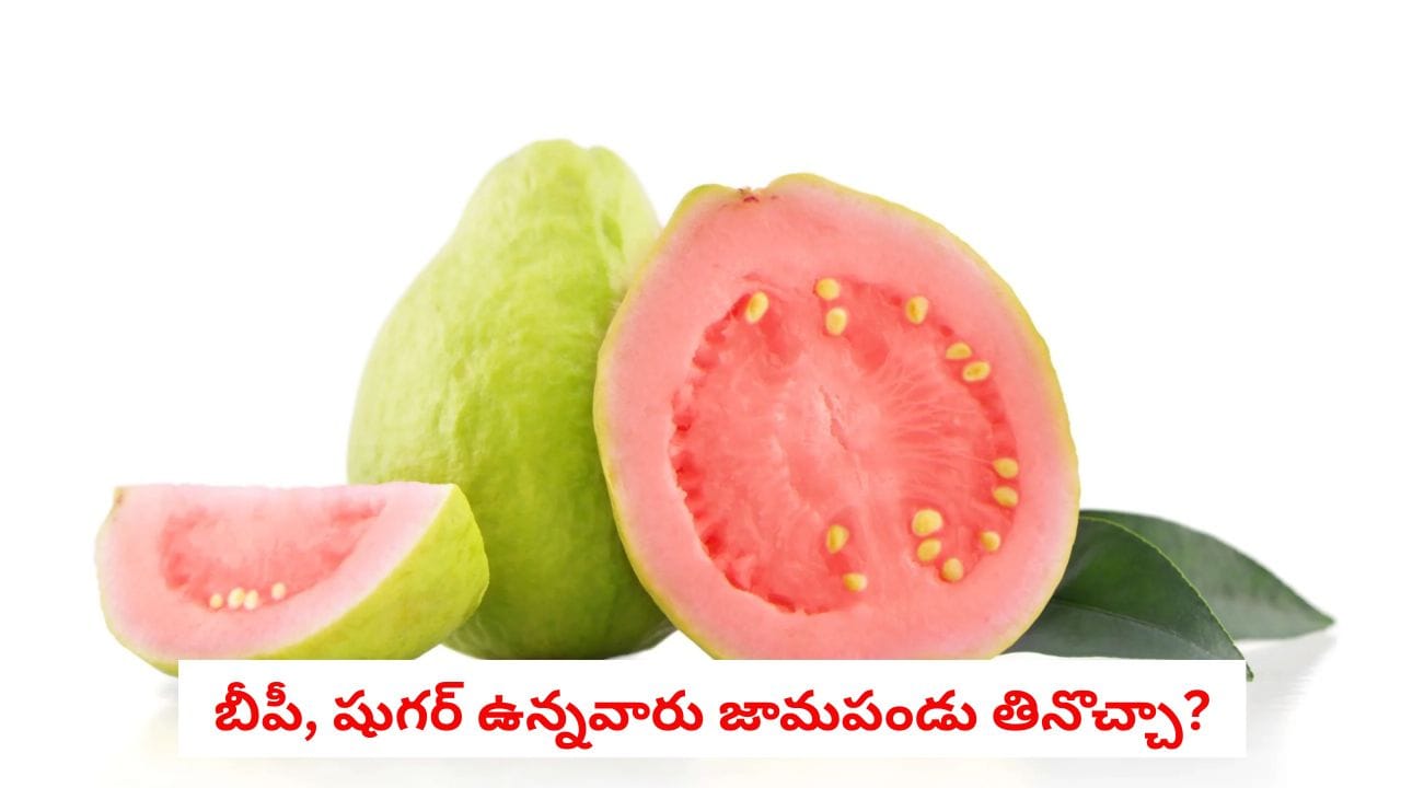 బీపీ, షుగర్ ఉన్నవారు జామపండు తినవచ్చా? నిపుణుల సూచనలు