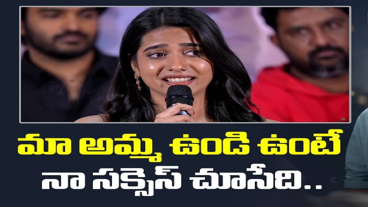 చెన్నై లవ్ స్టోరీ సక్సెస్ మీట్: ఎమోషనల్ అయిన గౌరిప్రియ