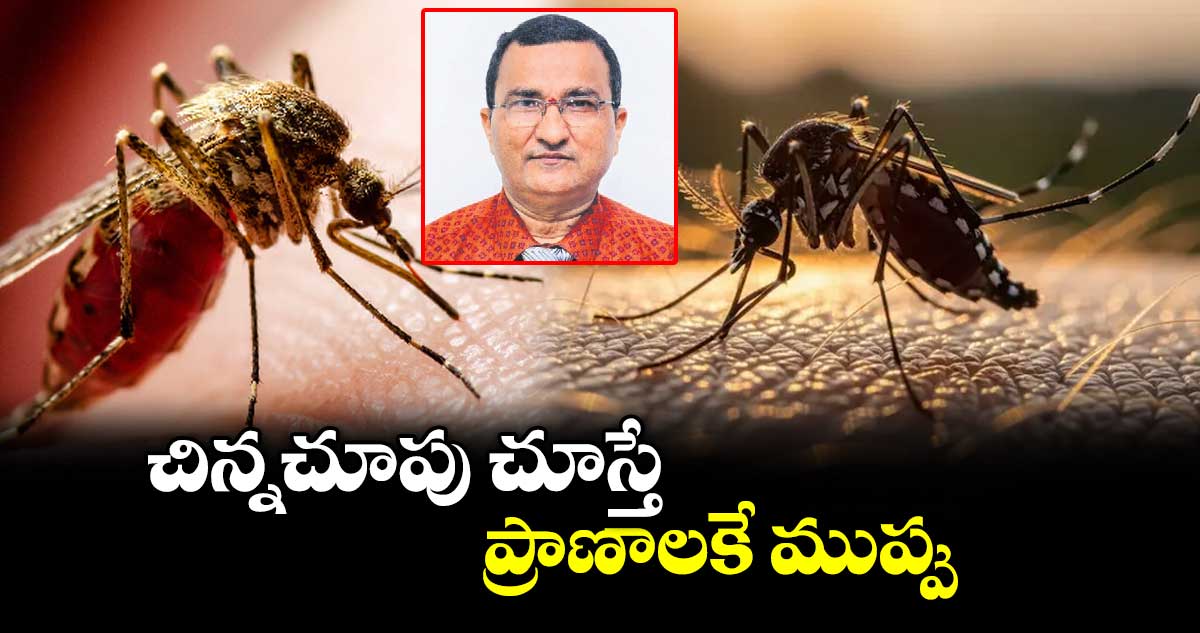 దోమల వల్ల ప్రాణాపాయం: మలేరియా, డెంగ్యూ వంటి వ్యాధులపై అప్రమత్తత అవసరం