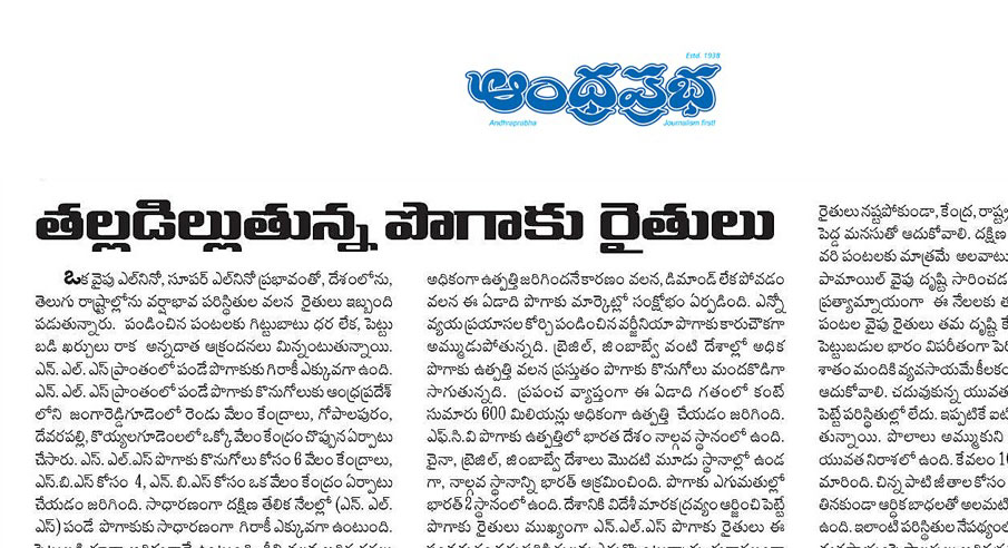ఎన్ఎల్‌ఎస్ పొగాకు రైతులు నష్టాల్లో మునిగారు