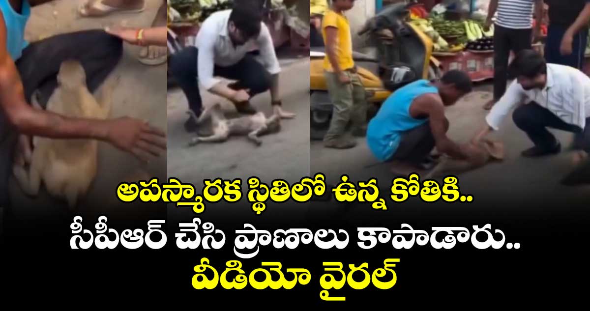రోడ్డుపై కోతి ప్రాణాలు కాపాడిన ఇద్దరు మానవత్వం గల వ్యక్తులు