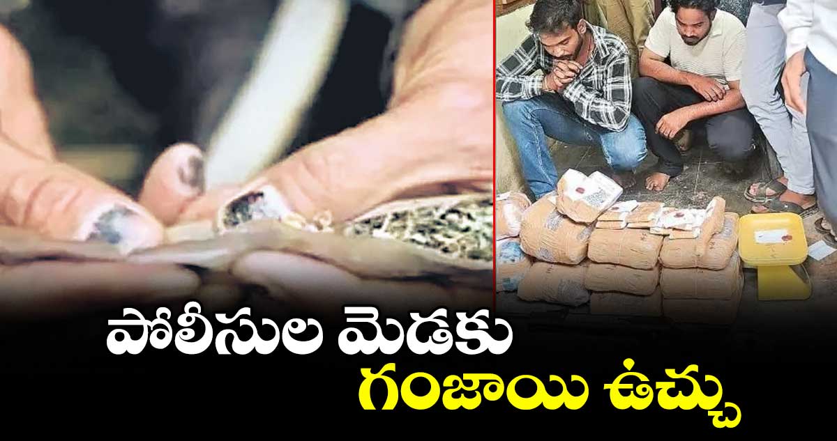 హైదరాబాద్‌లో గంజాయి ముఠాతో పోలీసుల సంబంధాలు: అంతర్గత విచారణ