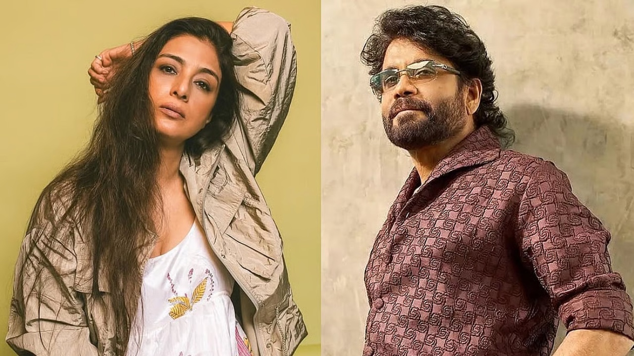 28 ఏళ్ల తర్వాత నాగ్-టబు కలిసి, శత్రువులుగా?