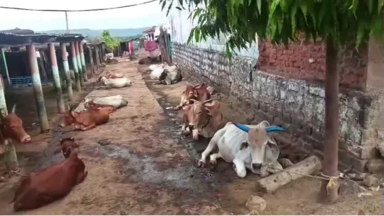 కల్తీ కాలంలో కమ్మని పల్లె.. పుట్టినప్పటి నుంచి ఒక్క పాల ప్యాకెట్ కూడా కొనని ఏకైక గ్రామం!
