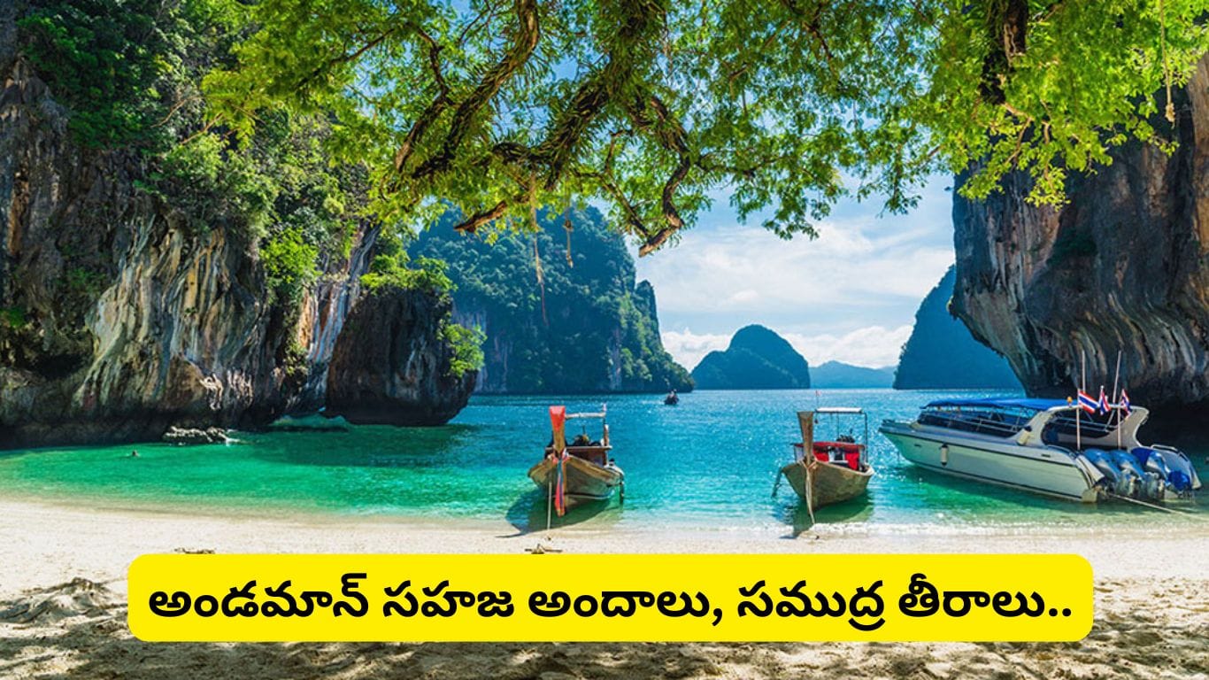 5 రోజుల్లో అండమాన్ టూర్? పోర్ట్ బ్లెయిర్ నుంచి నీల్ ఐలాండ్ వరకు ప్యాకేజీ ధరలు ఇవే