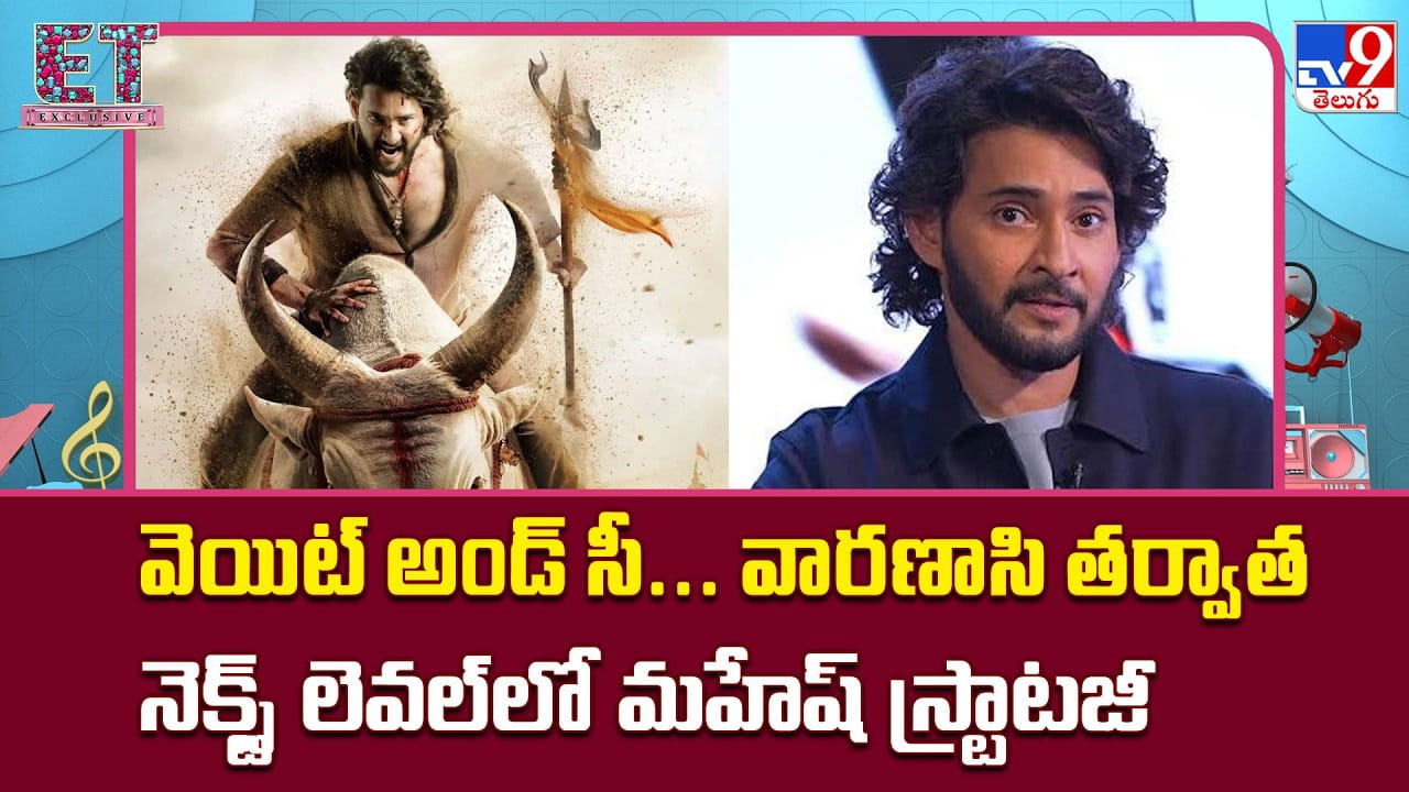 మహేష్ బాబు నెక్స్ట్ సినిమా కోసం వేచిచూస్తున్నారు