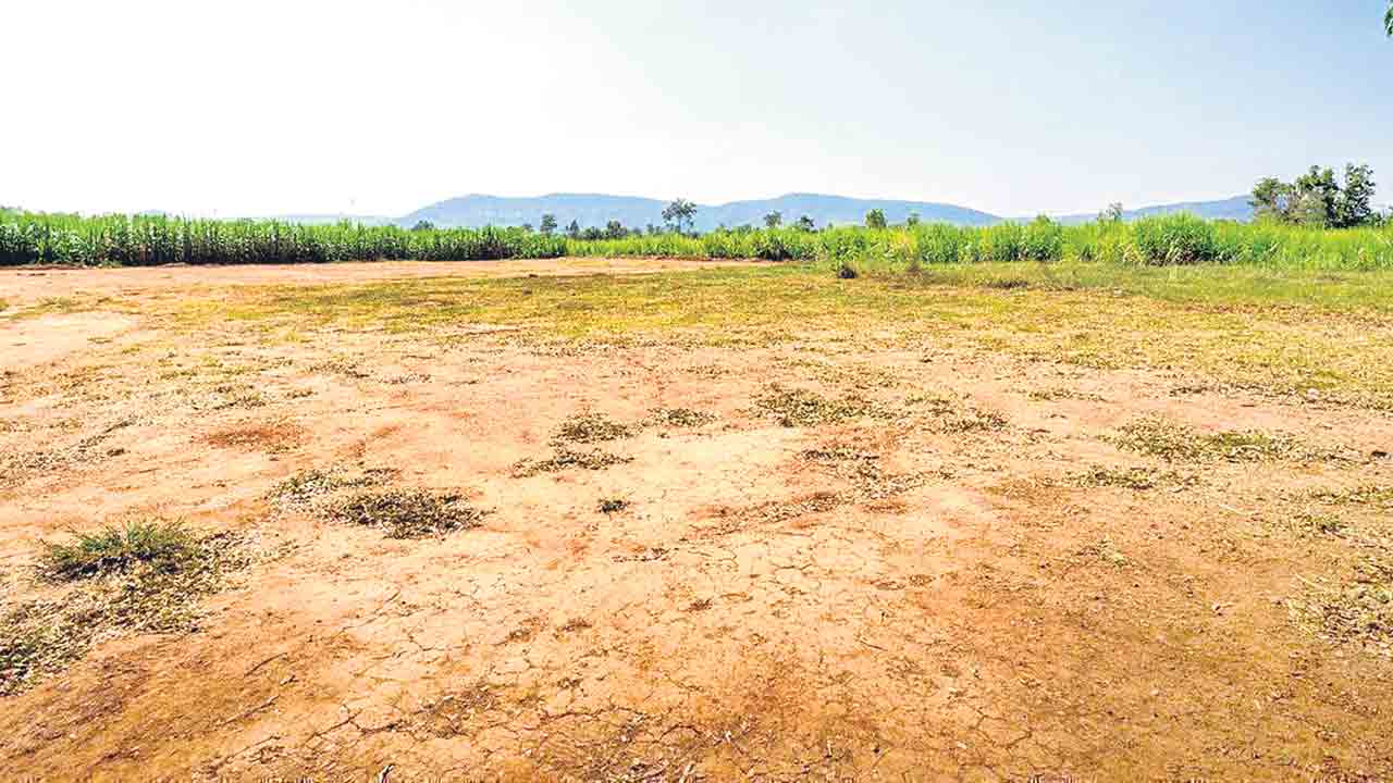 మేడ్చల్లో 6 ఎకరాల ప్రభుత్వ భూమి అన్యాక్రాంతం
