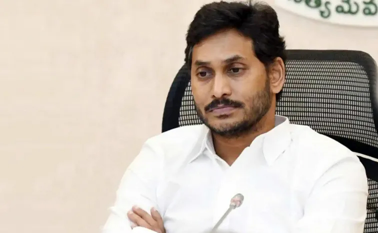 మెడికో ప్రియాంక మృతి: నిందితులకు కఠిన శిక్ష తప్పదు - సీఎం చంద్రబాబు