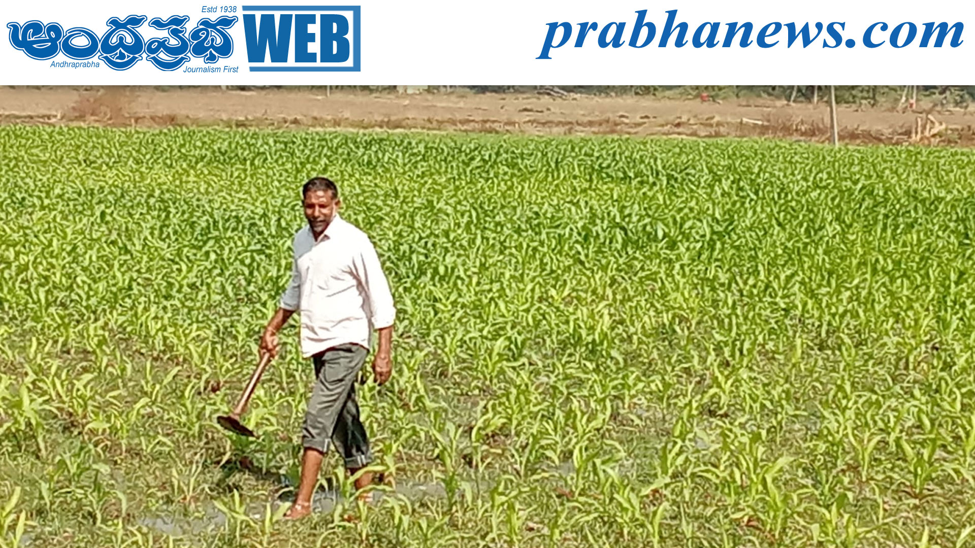 నర్సంపేటలో అడపాదడపా వర్షాలు: పంటలకు కొంత ఊరట
