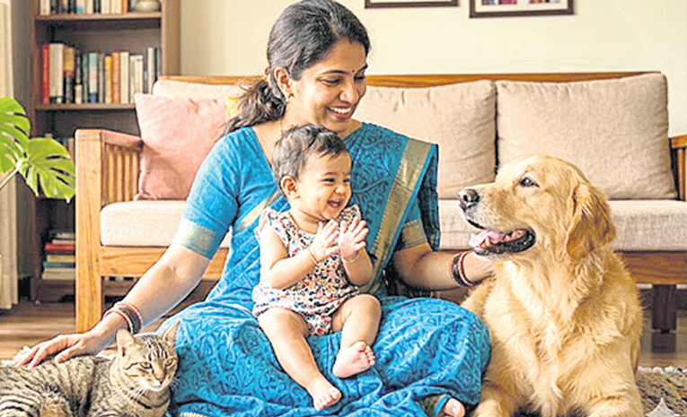 మంచిర్యాలలో పెంపుడు జంతువుల నుంచి వ్యాధులు నివారణకు హెచ్చరిక