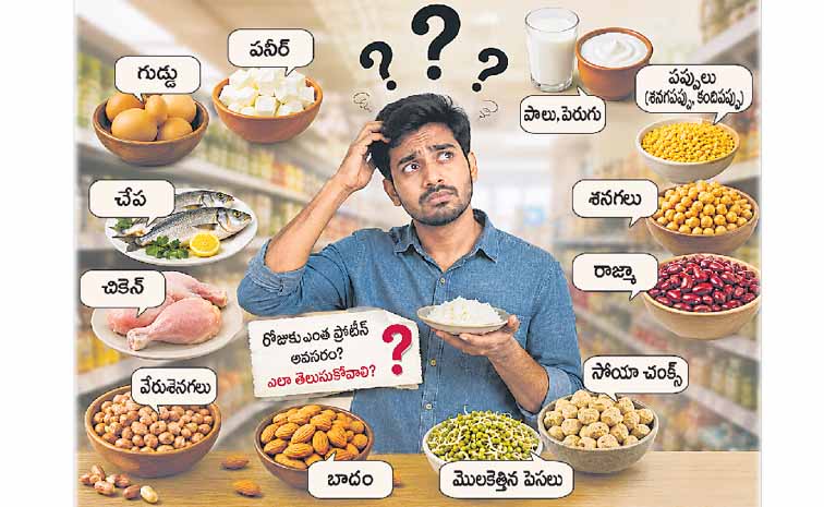 ప్రొటీన్పై తప్పుడు ప్రచారం: నిజాలు ఇవే