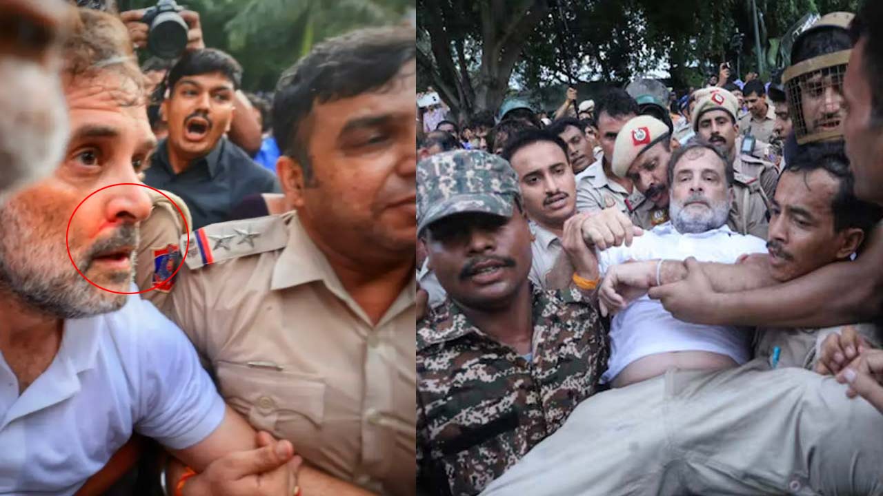 ప్రధాని నివాసం వద్ద నిరసన: రాహుల్ గాంధీ, ప్రియాంక అరెస్ట్