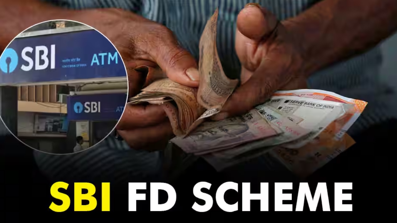 SBI FD Scheme : సీనియర్ సిటిజన్లకు పండగే.. SBI FDపై అదిరే వడ్డీ.. 6 నెలలకు డబుల్ బెనిఫిట్!