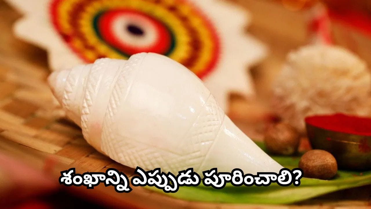 శంఖాన్ని తూర్పు దిక్కులో ఉంచాలి, లక్ష్మీదేవి అనుగ్రహం