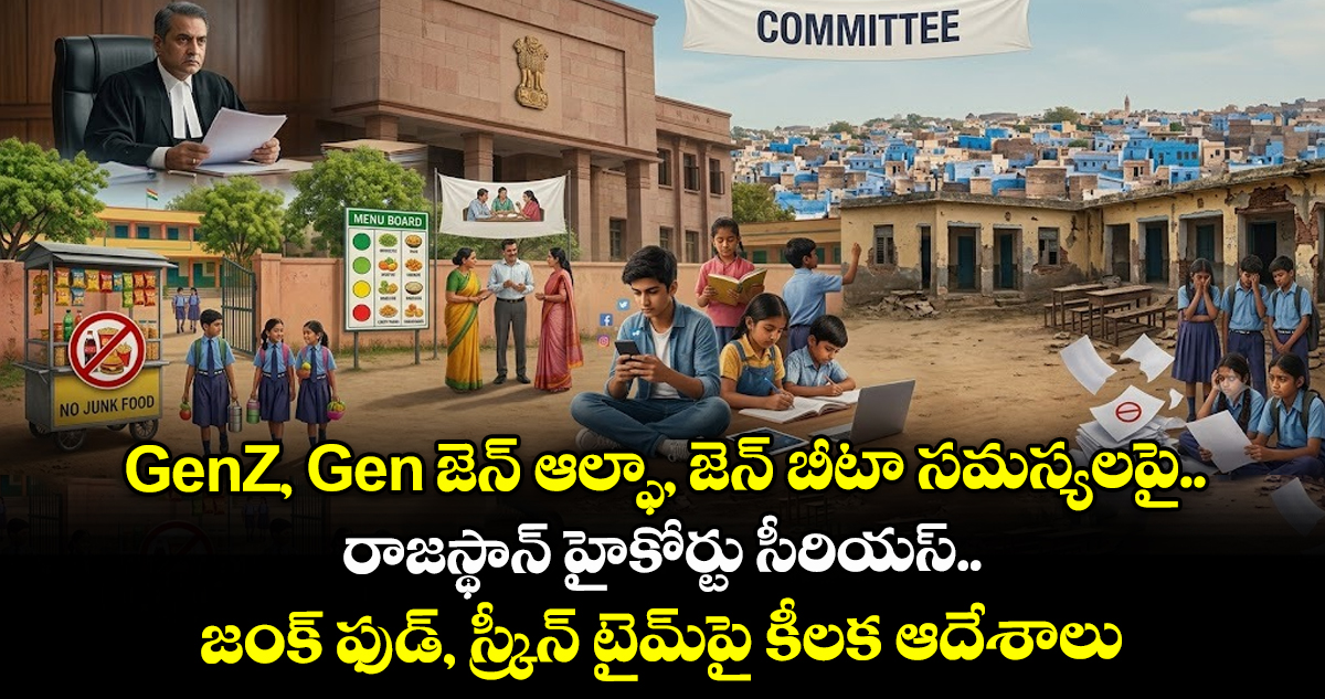 స్కూళ్లలో జంక్ ఫుడ్ అమ్మకాలపై రాజస్థాన్ హైకోర్టు నిషేధం
