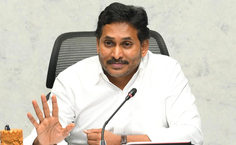 స్థానిక సంస్థల ఎన్నికలపై వైఎస్ జగన్ కీలక దిశానిర్దేశం