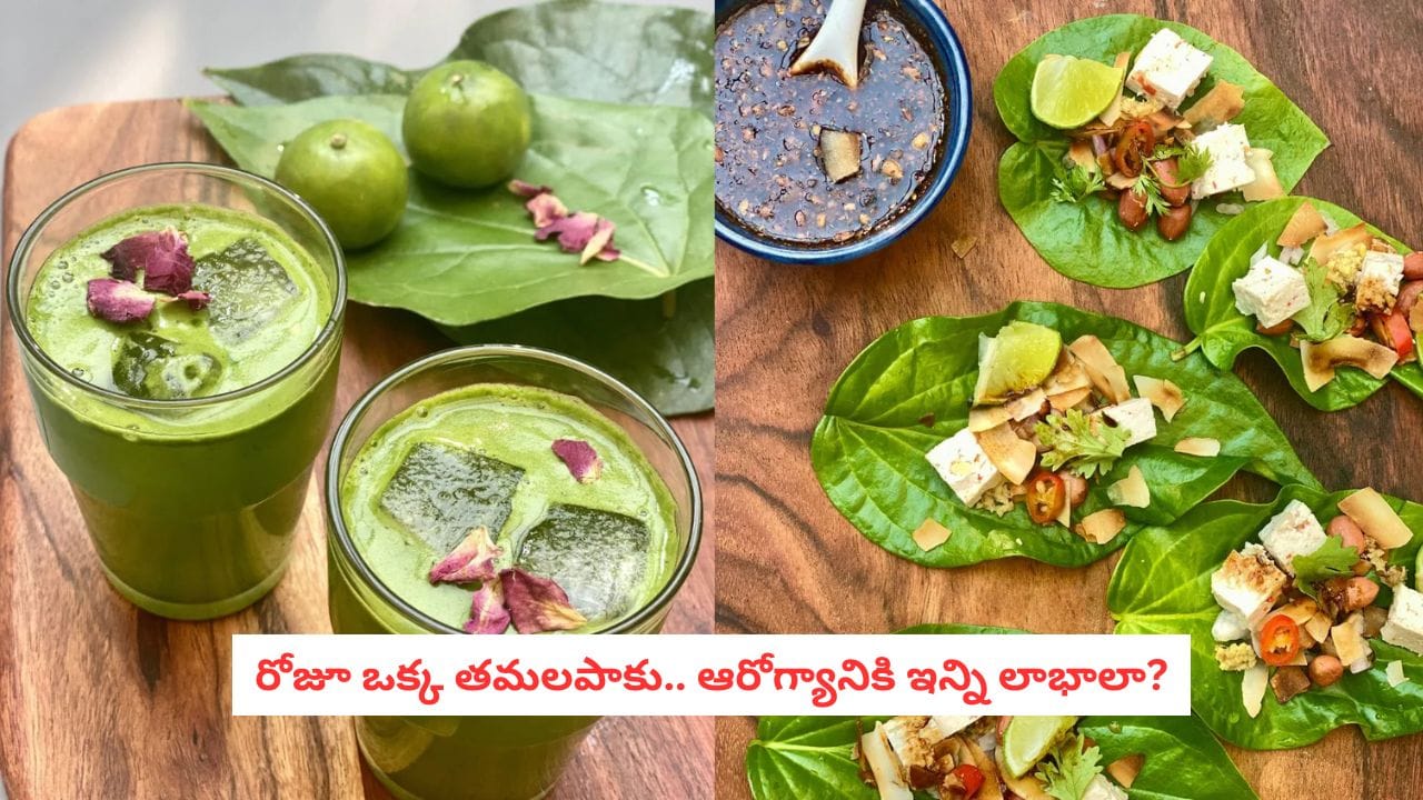 తమలపాకుతో ఆరోగ్య ప్రయోజనాలు: తీసుకోవాల్సిన జాగ్రత్తలు ఇవే