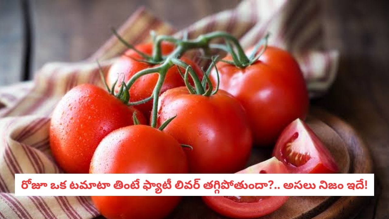 టమాటా తింటే ఫ్యాటీ లివర్ తగ్గుతుందా? పరిశోధనలు ఏం చెబుతున్నాయి?