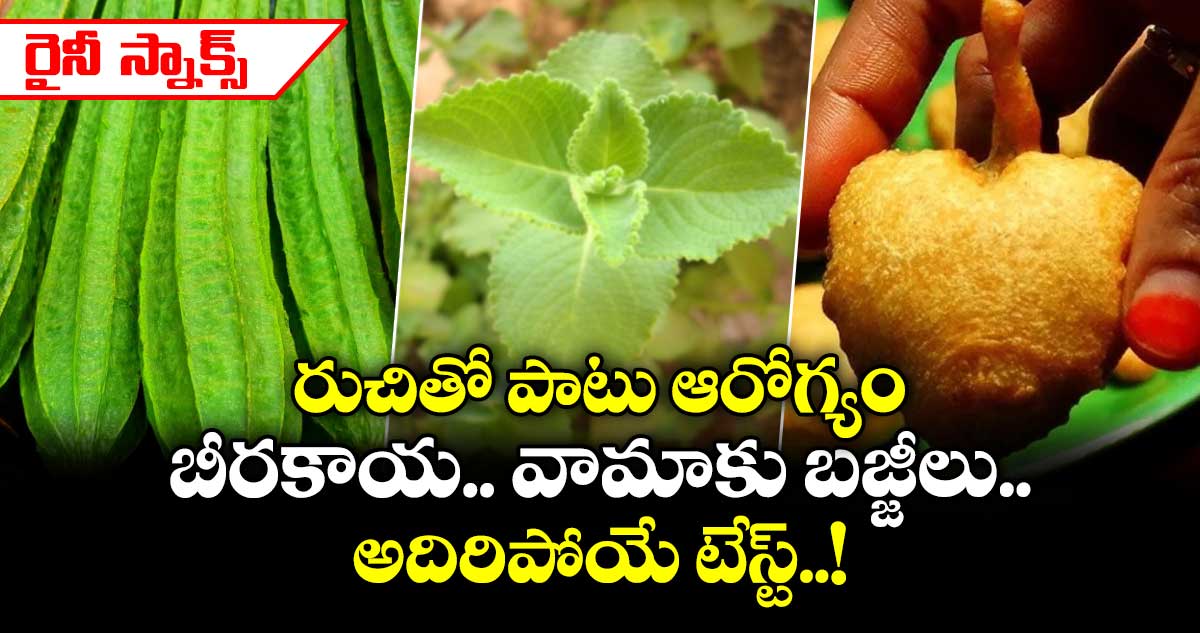 వర్షాకాలం స్నాక్స్: రుచికరమైన బీరకాయ, వామాకు బజ్జీల తయారీ