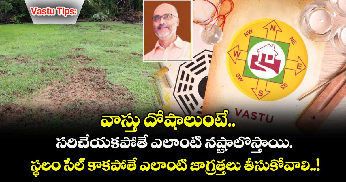 వాస్తు దోషాలుంటే నష్టాలు తప్పవా? నిపుణుల స్పష్టత