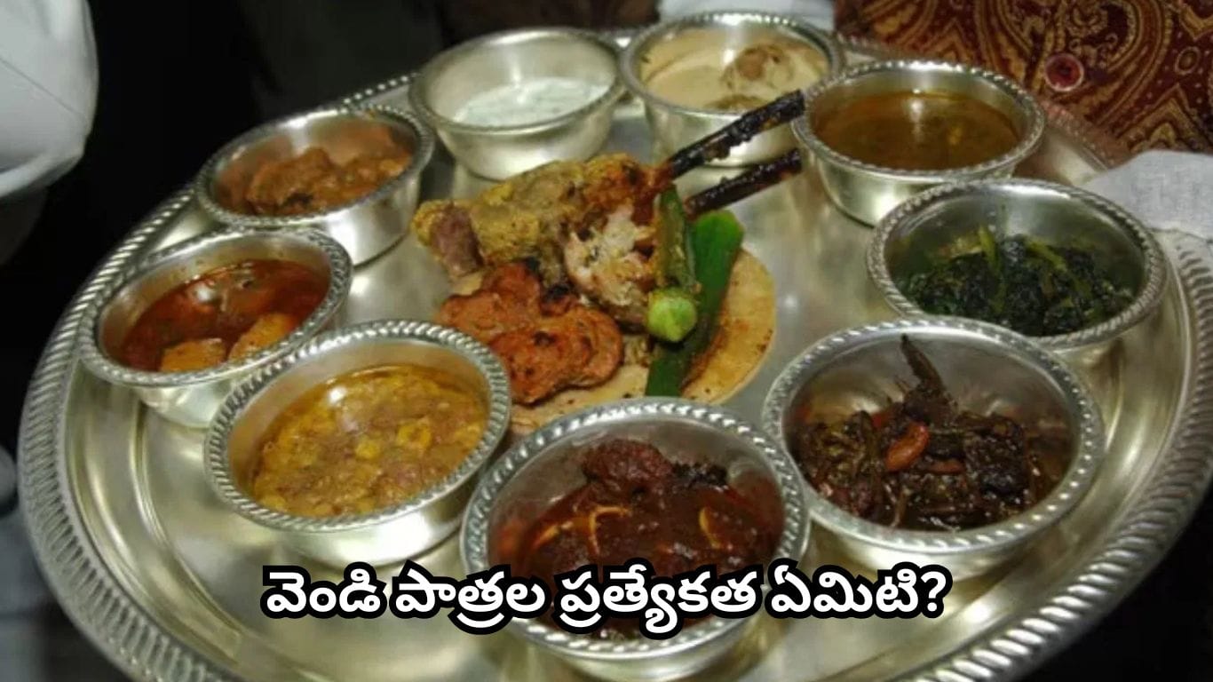 వెండి ప్లేట్లలో భోజనం: ఆరోగ్య ప్రయోజనాలు, ఆయుర్వేద సూచనలు ఇవే