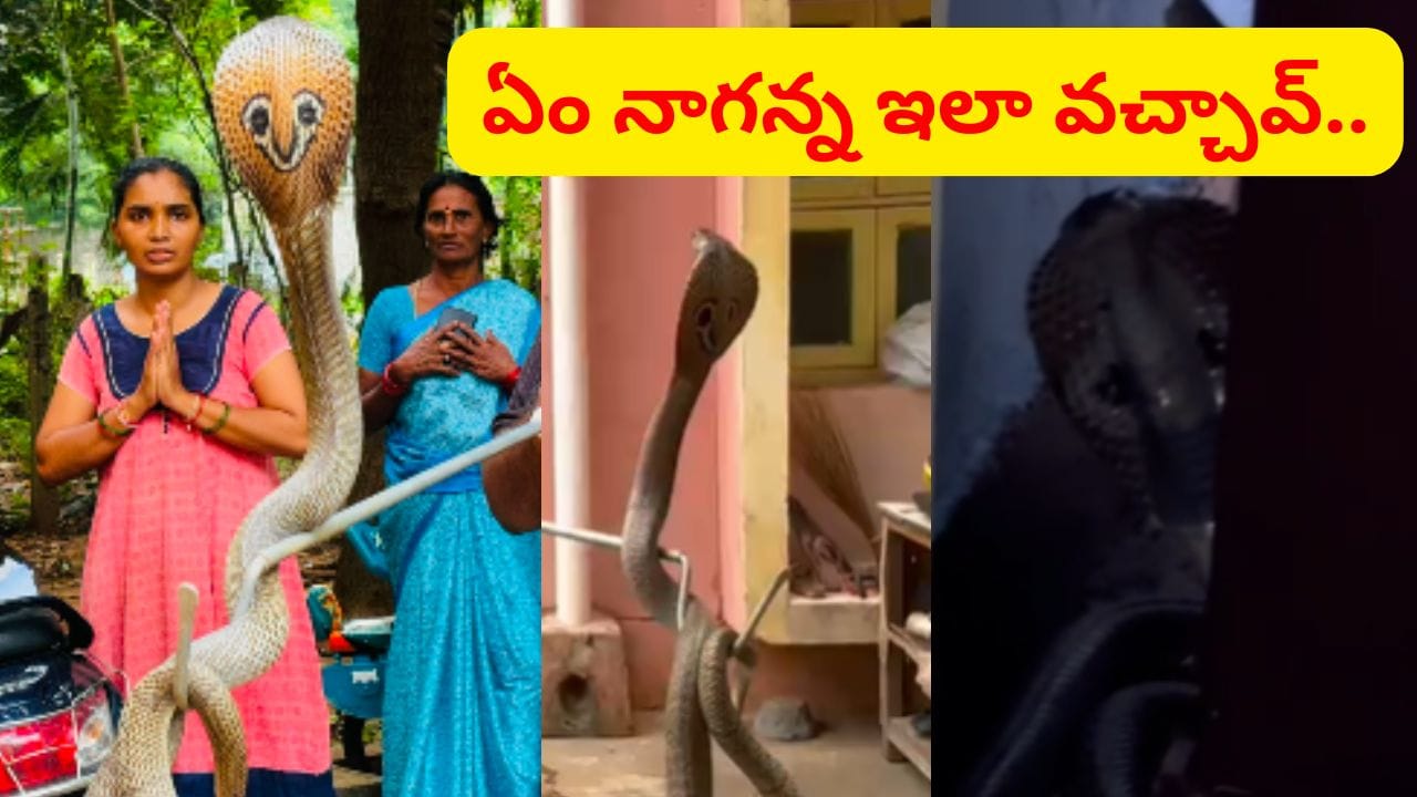 విశాఖ స్టీల్ ప్లాంట్ క్వార్టర్స్లో కిచెన్లోకి చొరబడిన నాగుపాము