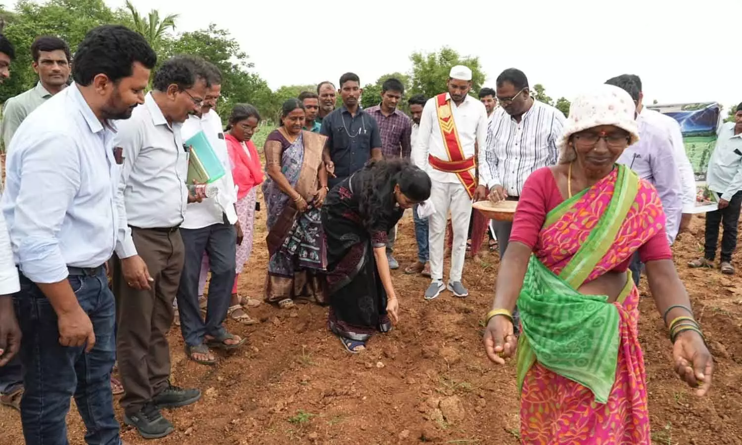 వరంగల్ జిల్లాలో పంట మార్పిడి: రైతులకు 'అర్క తేజస్వి' మిరప విత్తనాలు