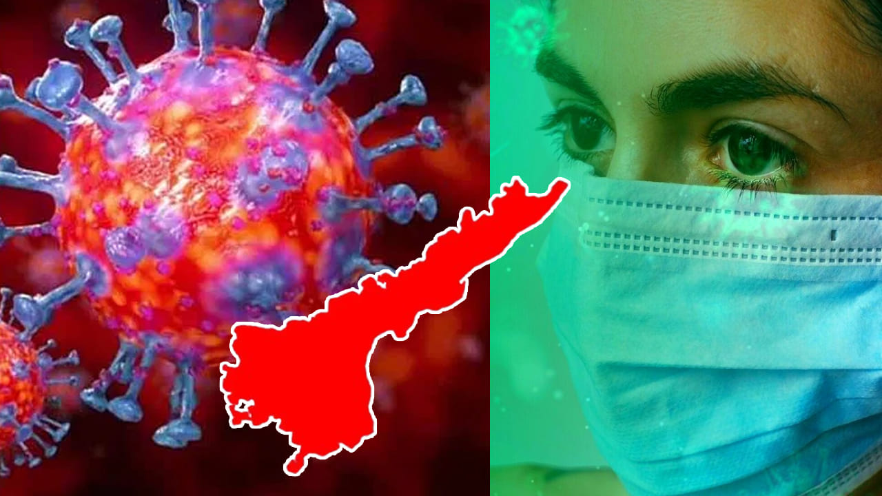 ఆంధ్రప్రదేశ్లో కరోనా కేసులు 19కి చేరాయి