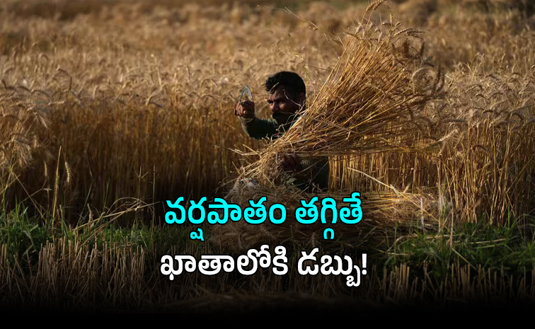 ఎల్ నినో ప్రభావం: వ్యవసాయాధారిత ఆర్థిక వ్యవస్థకు ముప్పు